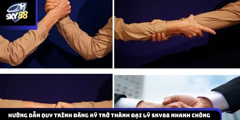 Vai trò và vị trí của đại lý Sky88 trong mạng lưới cá cược