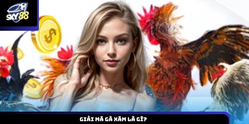 Giải mã gà xám là gì?