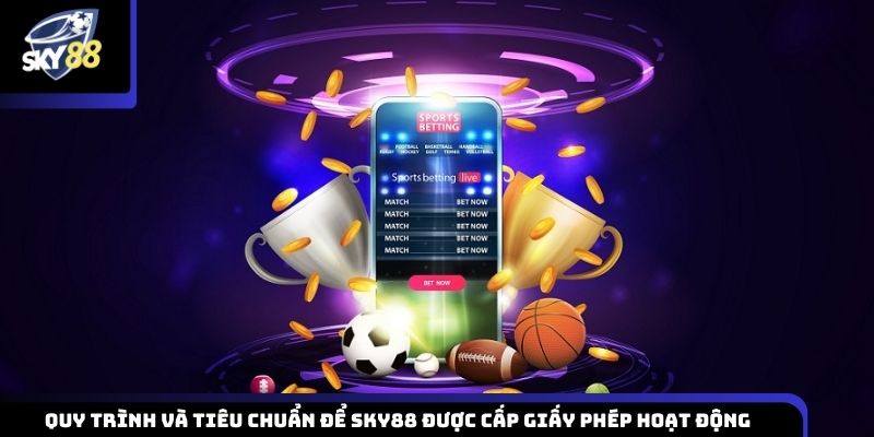 Quy trình thẩm định và các tiêu chí bắt buộc để Sky88 được cấp phép hoạt động hợp pháp
